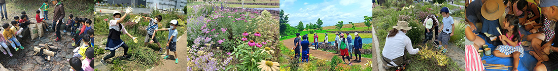 みどりの人財支援写真